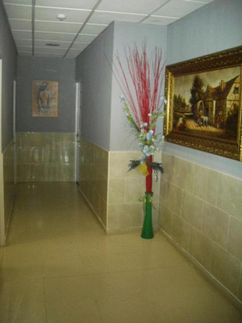 Hostal Ds Velilla de San Antonio Exterior foto